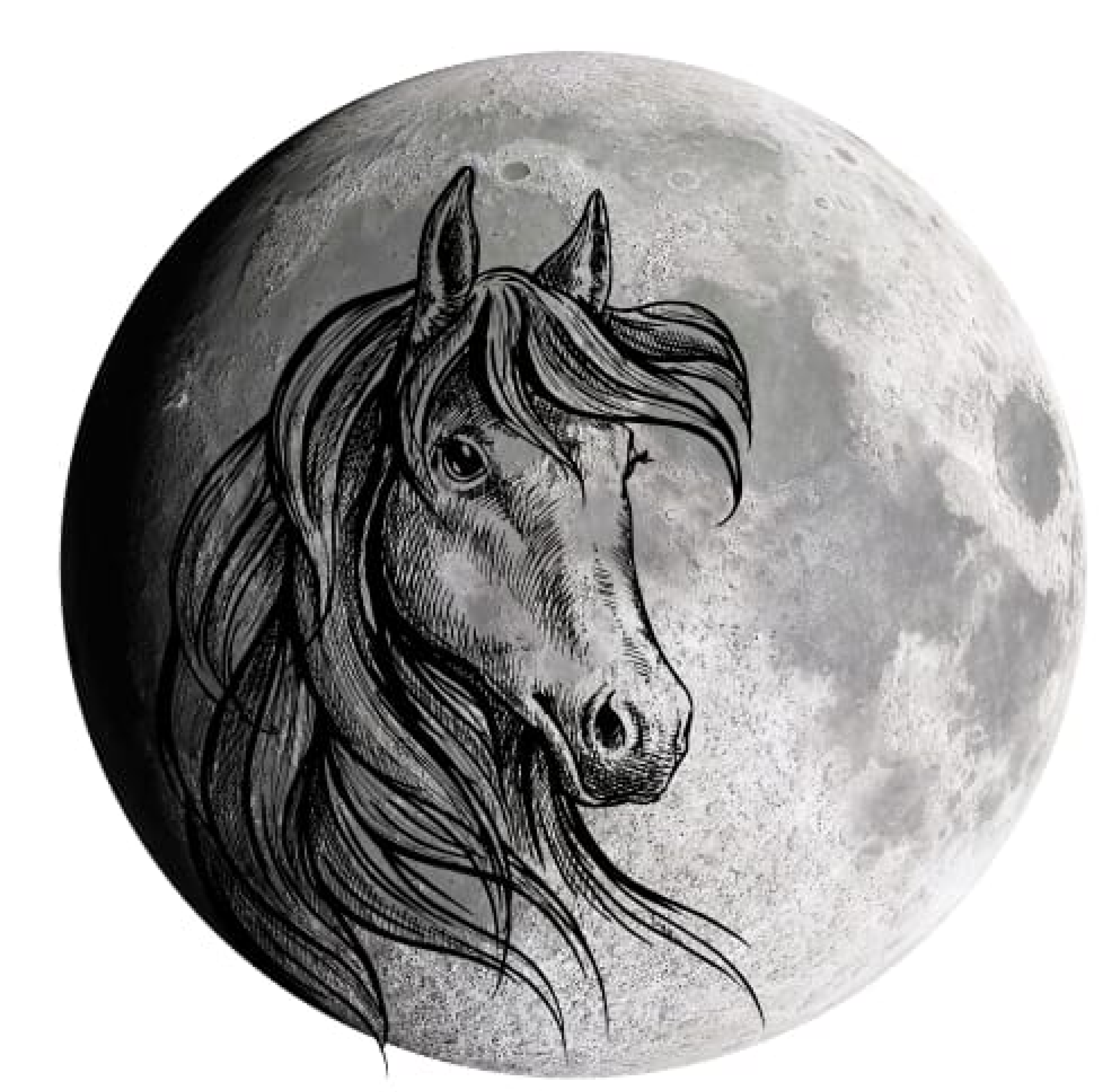 صافنات البدر